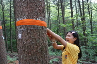  2019.07.19 학생기자단(FEP) 청태산휴양림 숲사랑 체험교육 및 힐링 - 교육